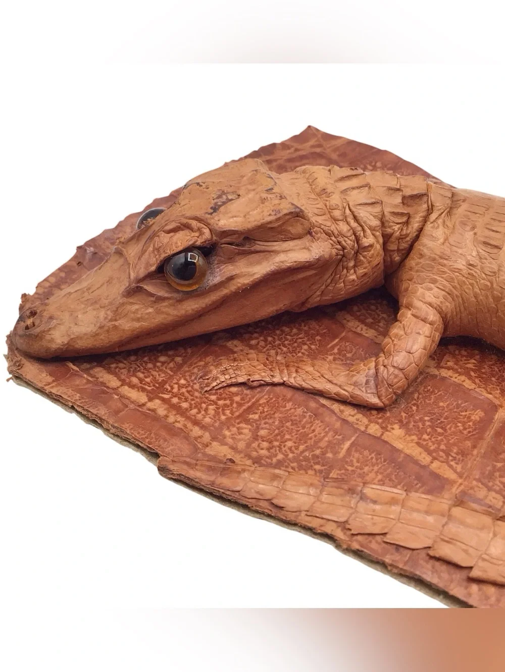 Vintage Oddities Lot, Alligator Taxidermy, Small Antique Photo English Doll Head